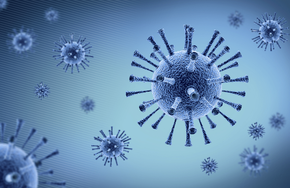 Risk assessment checklist for infectious disease prevention in an HSEQ & vocational training environment.