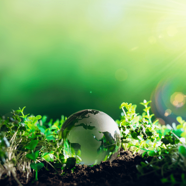 Environmental Awareness and Sustainability Vocational training class focused on sustainability and Environmental Awareness, aligning with HSEQ guidelines.