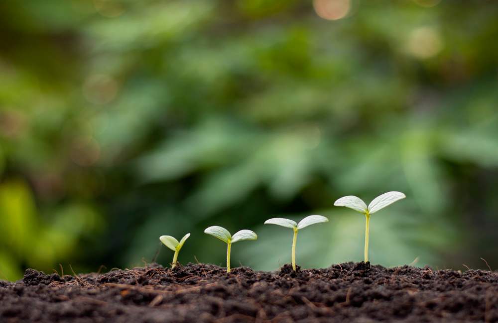 HSEQ-Focused Environmental Awareness Trainer discussing environmental safety strategies with vocational trainees, promoting HSEQ compliance.
